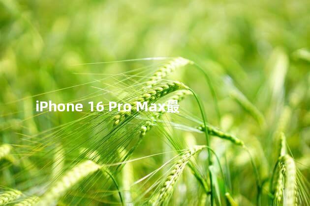 iPhone 16 Pro Max最高加价1200元